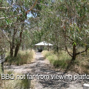 Wannon Falls Reserve