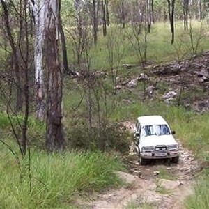 Starkvale Creek Campground