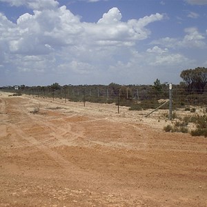 Rabbit Proof Fence - Frank Hann National Park