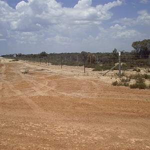 Rabbit Proof Fence - Frank Hann National Park