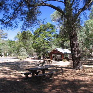 Zumstein Picnic Area