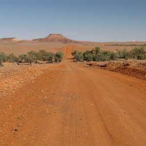Dig Tree Circuit, SA-QLD Border