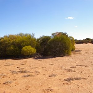 Tallaringa Native Well