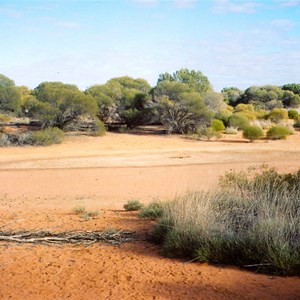 Queen Victoria Spring