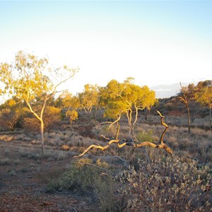 Hunt Oil Camp (Abandoned)