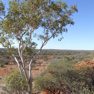 Caves & Hunt Oil Drilling Camp Access