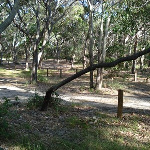 Waddy Point top camping ground