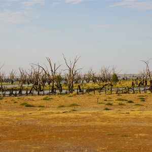 Rufus River & Lookout