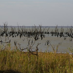 Rufus River & Lookout