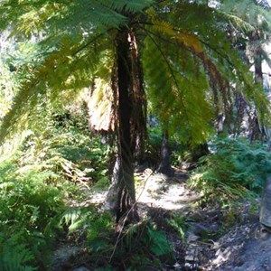 Bunbuncundoo Springs