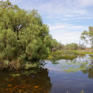 Werta Wert Wetlands