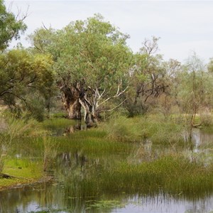 Werta Wert Wetlands