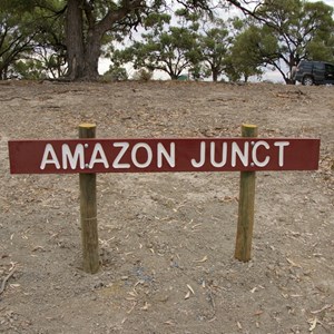 Amazon Junction