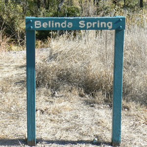 Belinda Springs