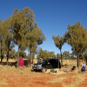 Nice Bush Camp (among Desert Oaks)