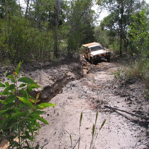 Telegraph Track - Mistake Creek