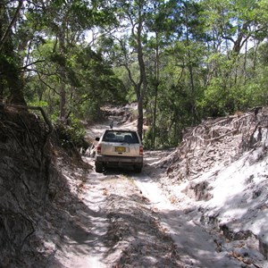 Telegraph Track - Cypress Creek