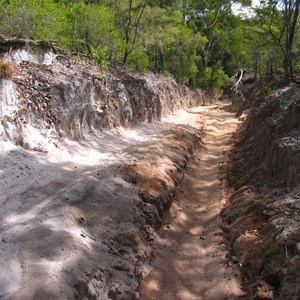 Telegraph Track - Cypress Creek