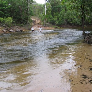 Telegraph Track - Cockatoo Creek