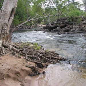 Telegraph Track - Cockatoo Creek