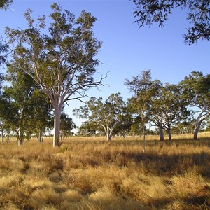 Hand Pump Southern End