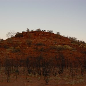 Rocky Knoll - Wapet Track