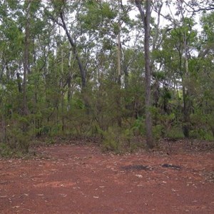 World War II Airstrip Hughes