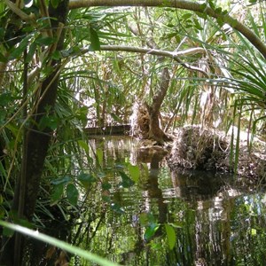 Coomalie Creek Rest Area