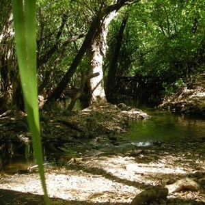 Coomalie Creek Rest Area