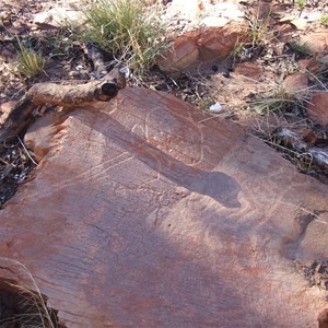 Turtle Rockhole – Throssell Ranges (Rudall River)