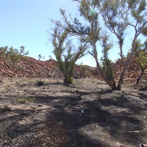 Turtle Rockhole – Throssell Ranges (Rudall River)