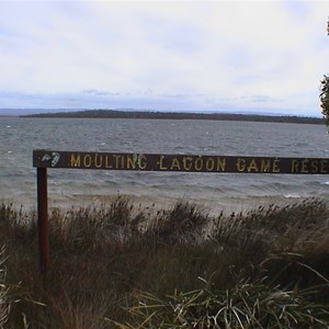 Moulting Lagoon Game Reserve