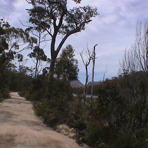 End of Track (Friendly Point)