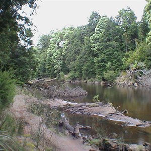 Savage River, Norfolk Road