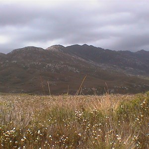 Climes Track, Mount Heemskirk Regional Reserve Boundary