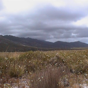 Climes Track, Mount Heemskirk Regional Reserve Boundary