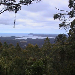 Cloudy Bay Lookout