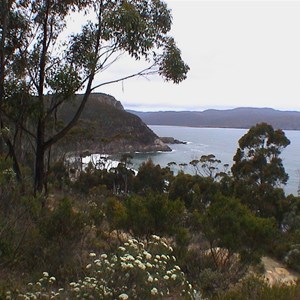 Mabel Bay Lookout