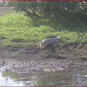 Yellow Water Billabong Part 2