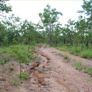 World War II Airstrip McDonald