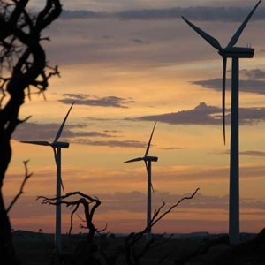 Canunda wind farm