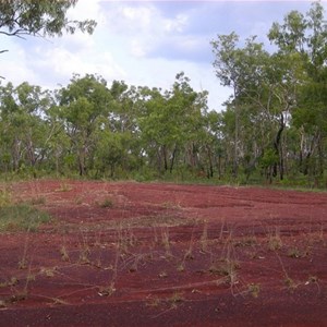 World War II Airstrip Gould