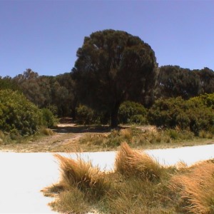 Nice Camp Area (near Sloop Lagoon)