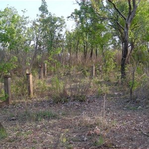 World War II Airstrip Adelaide River