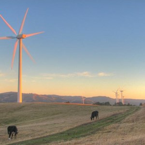 Toora wind farm