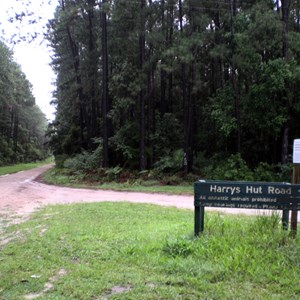 Cooloola Way & Harry's Hut Rd