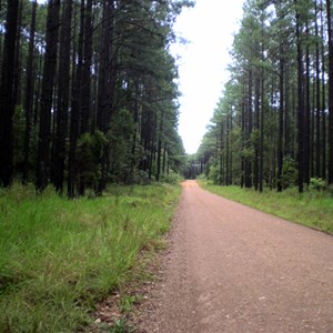 Cooloola Way & Harry's Hut Rd