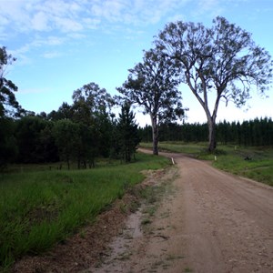 Cooloola Way & Harry's Hut Rd