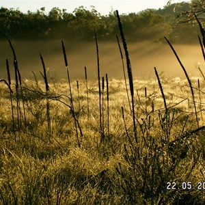 Firebreaks & Cooloola Beach Camping Zone