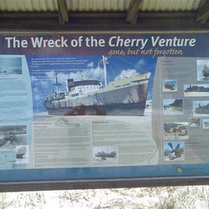 Cherry Venture